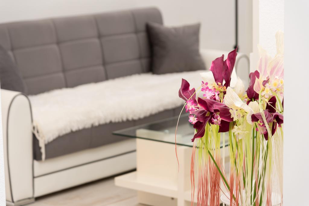 Apartment Antonio 바스카보다 외부 사진